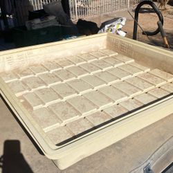 Growing Trays For Plants