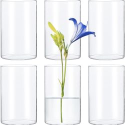  6 Inches Tall (15 cm) Clear Glass Cylinder vases. 6 Centerpiece Vases