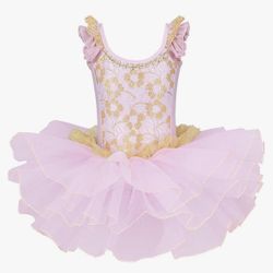 Girls Skirted Leotards Ballet Dance Tutu Princess Dress