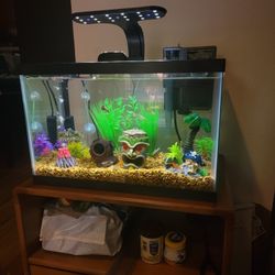 5 Gallon Fish Tank Bundle