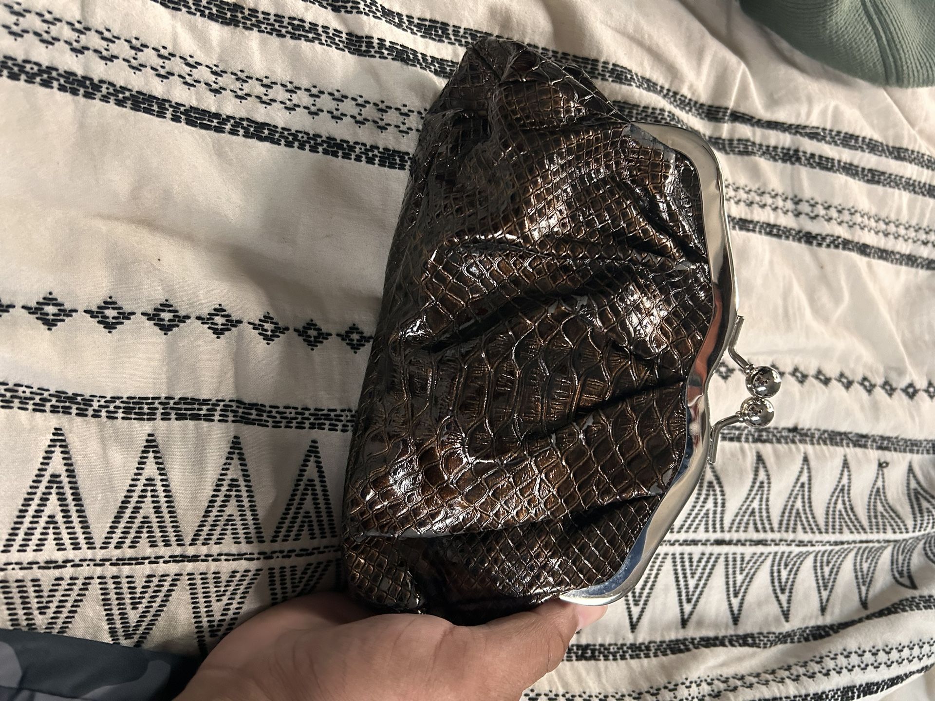 Snakeskin Purse