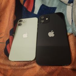 Iphone 12's