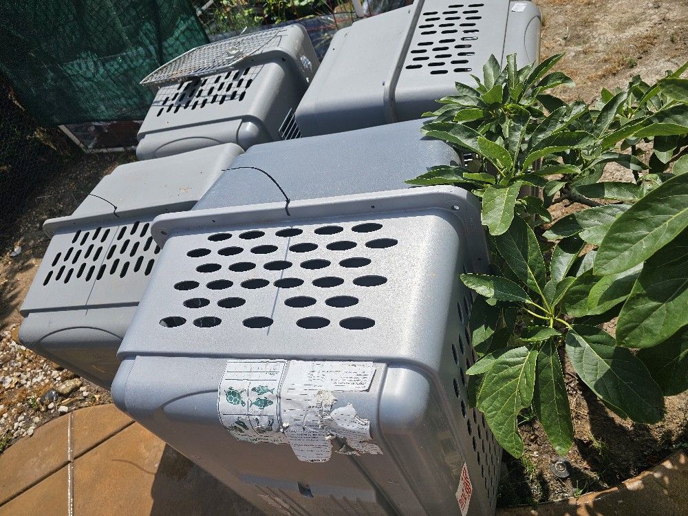 Crates for Dogs