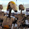 Clankatron2005