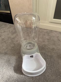 Pet water dispenser
