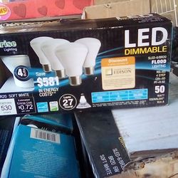 LED Light bulbs