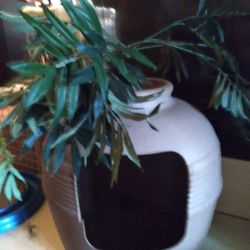 Cat Hideout Or Litter Box 