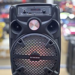 Rechargeable Bluetooth Party Speaker With Wired MIC