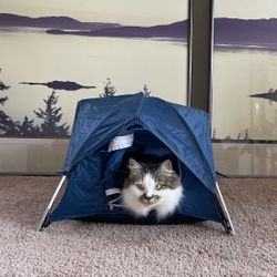 pet tent, cat dog house