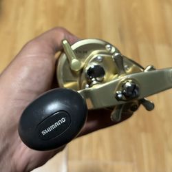 Shimano Trinidad 14 Gold