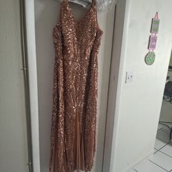 Rose Gold Sequence Dress