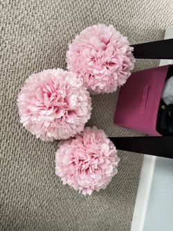 Hanging Puff Balls 