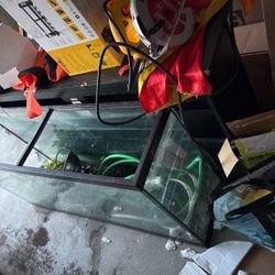 75 Gallon Fish tank 