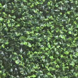 Trash Bag Full Of DOG CLOTHES 