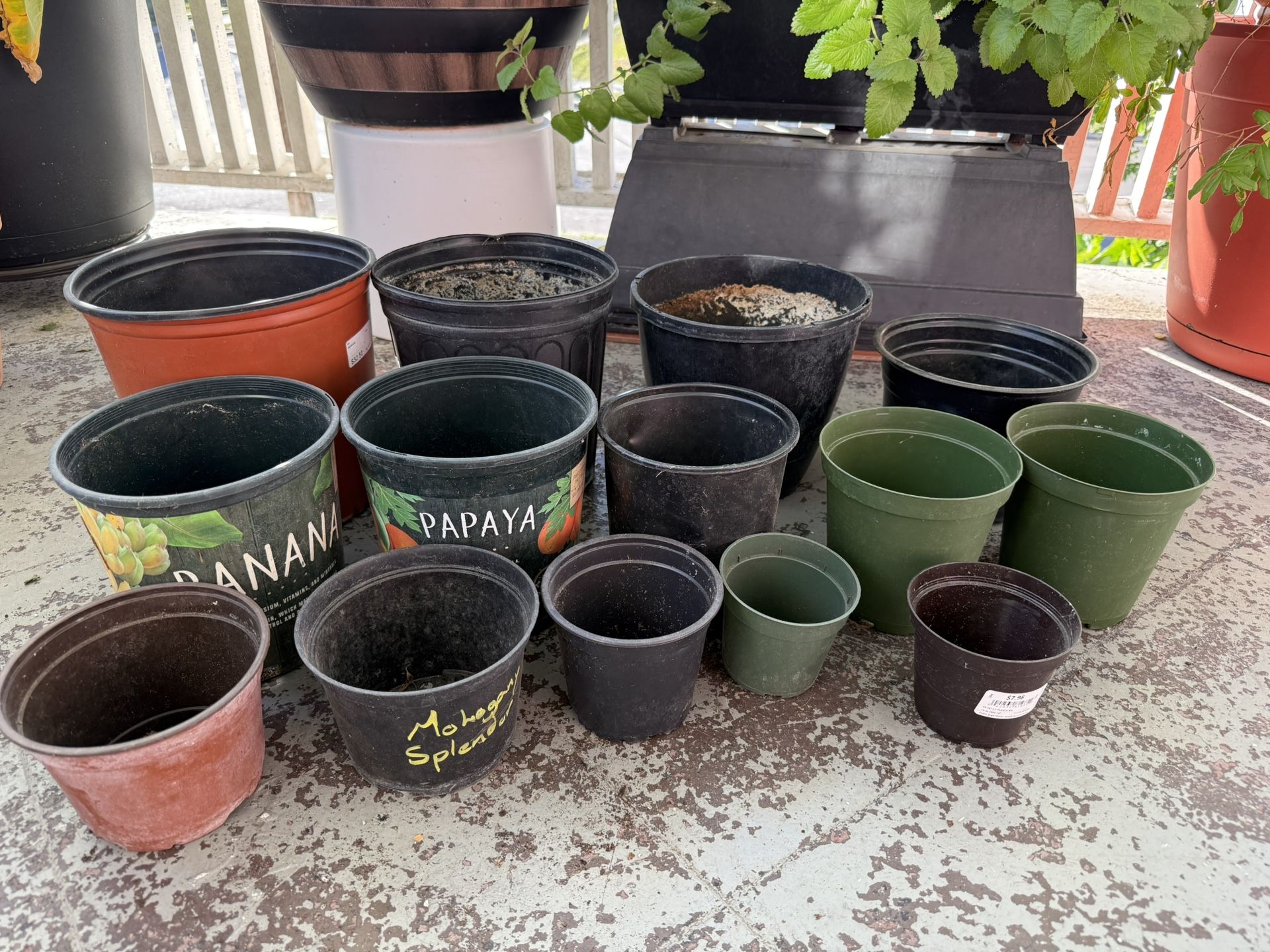 Assorted Nursery Pots