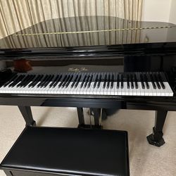 Mini Grand Piano - Pretty New Condition - Only $8000