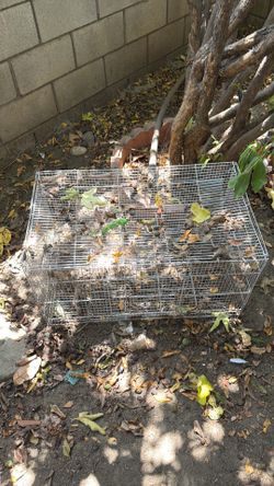 Bird cage