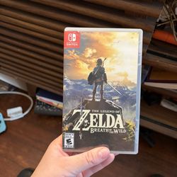 Breath Of The Wild Switch 1