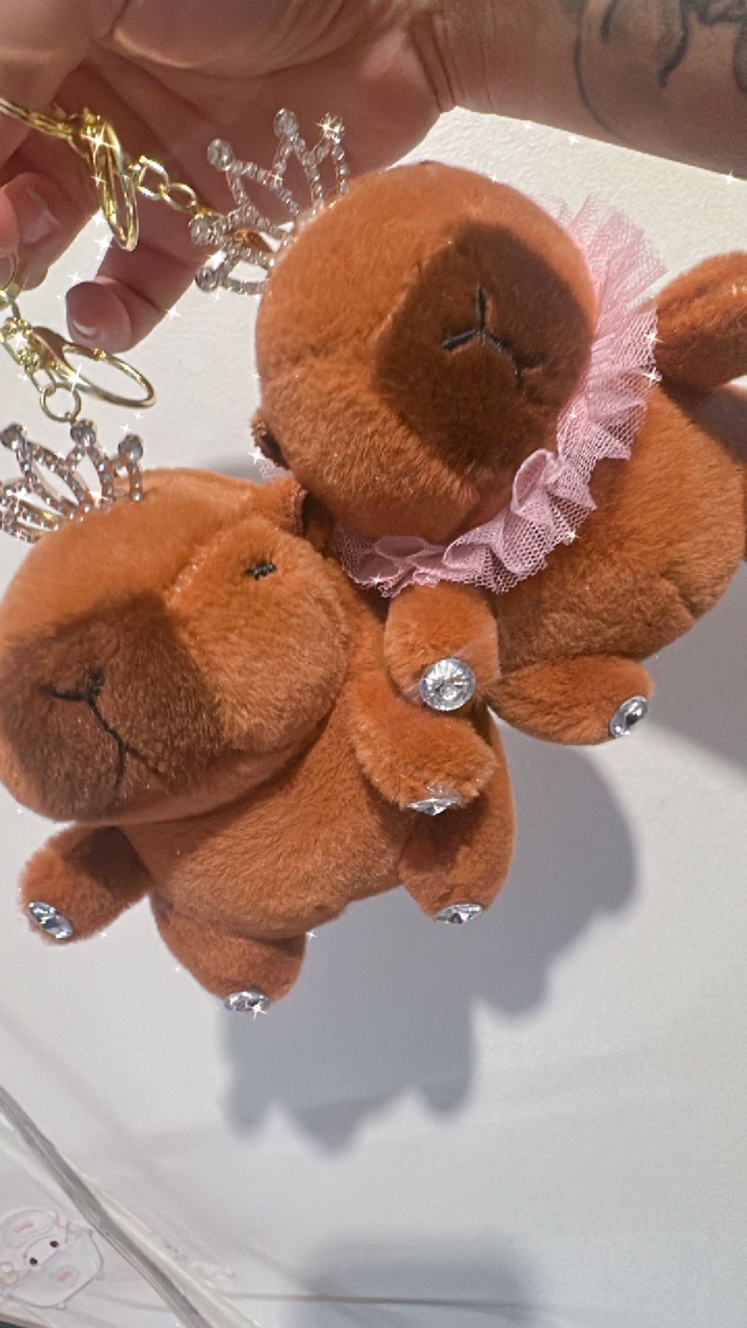 Capibara Plushies!