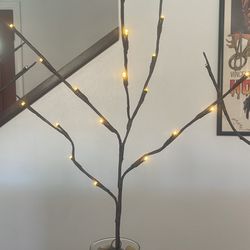 $10.00 Each-Lighted Branch Decorations 