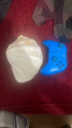 Clam Shell