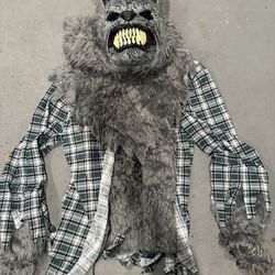 Big Bad Wolf Costume 