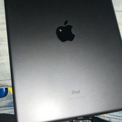 iPad Series 13