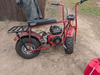 Mini bike