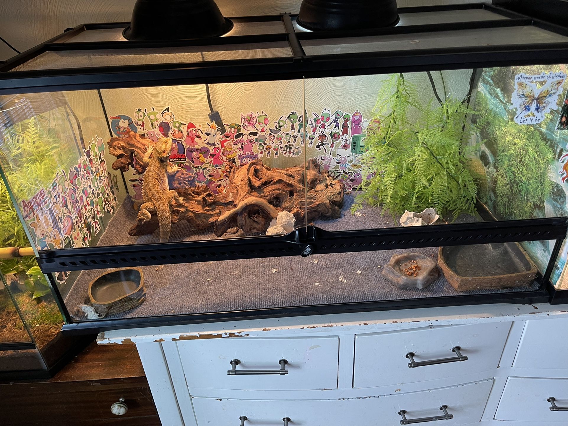 Reptile Tank