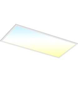 2x4 Panel Light 