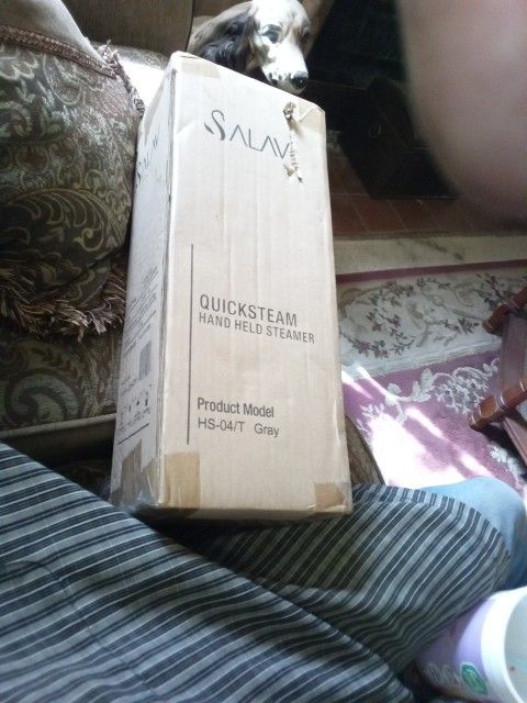 Handheld Steamer $15