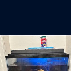 40 Gallon Fish Tank 