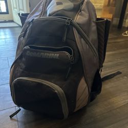 Demarini Baseball Backpack 