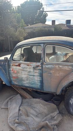 Volkswagen Bug
