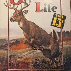 Framed Outdoor Life 1936 print. 34x28