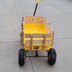 Cat wagon