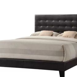 Queen size Mccary Vegan Leather Standard Bed