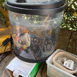 Small Aquarium FREE