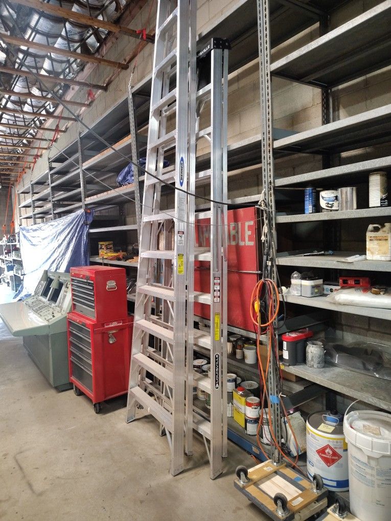 12 Ft Werner Aluminum Ladder