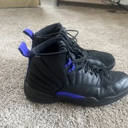 Jordan 12 size 12