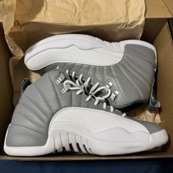 Jordan 12 Stealth 