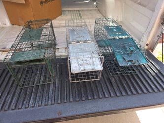 Small live animal trap (havahart )