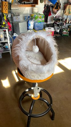 FREE Cat Bed