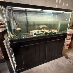 75 Gallon Fish Tank With Stand 
