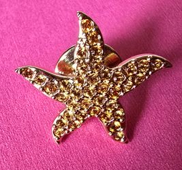 Vintage Swarovsli Pin Stamped on the back with the swan $15 firm!
