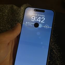 iPhone 14 Pro Max