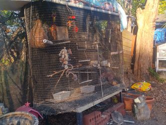 Animal Cages