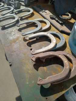 Vintage  Horse  Shoes 
