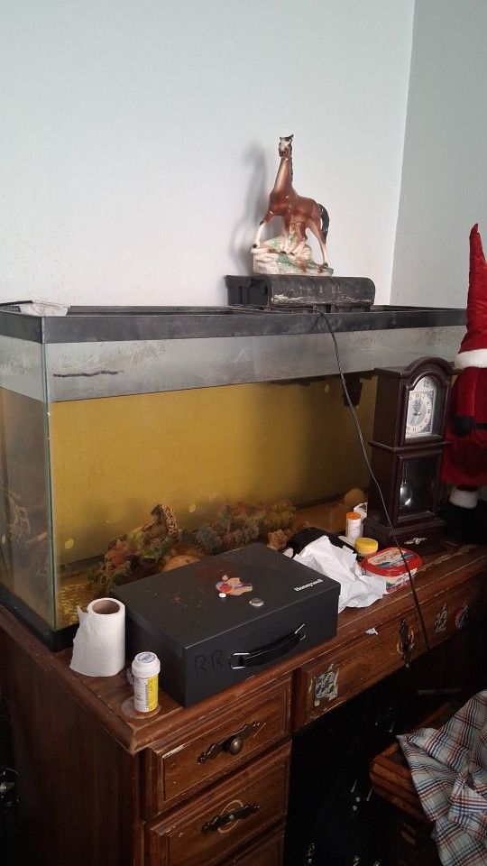 Fish Tank 