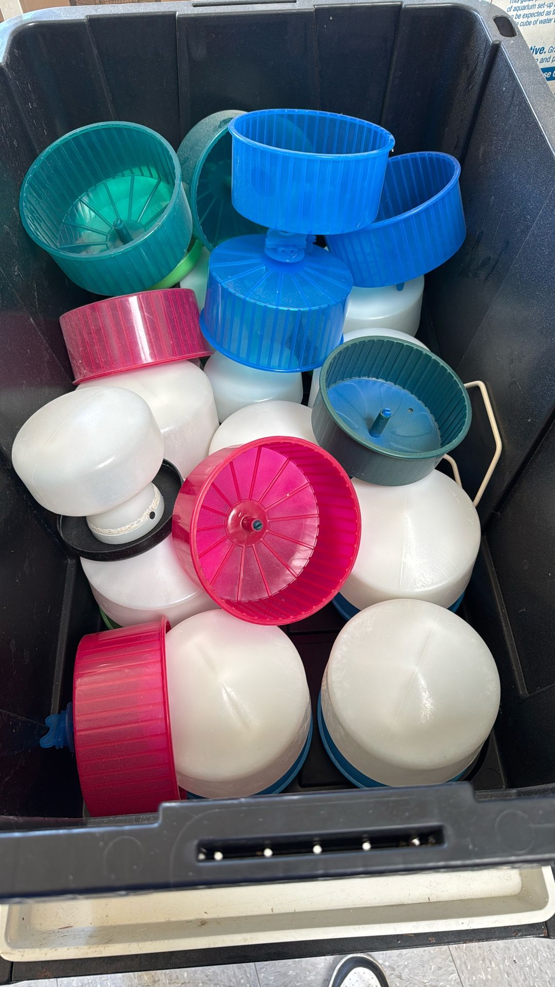 Water Feeder For Birds